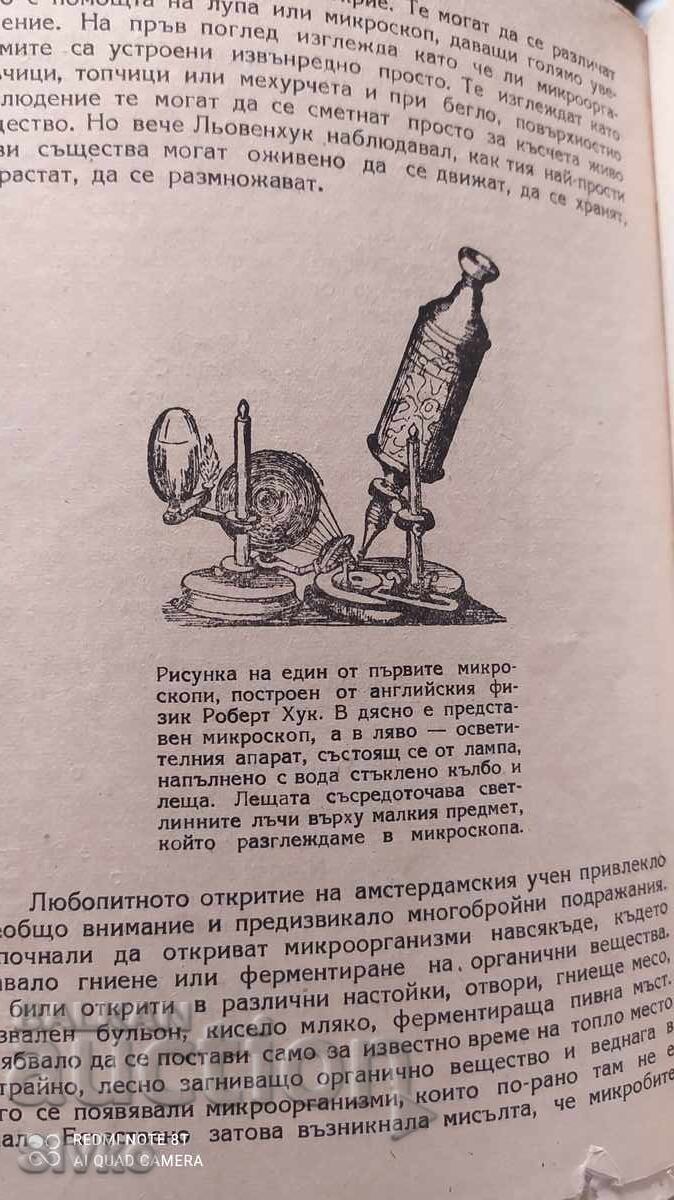 A Convolute of Several Books, Including Pre-1945 - 5 A Convolute of Several Books, Including Pre-1945 - 5
