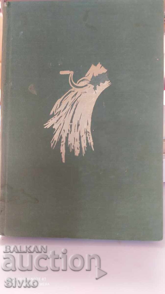 Lumea mincinoasă, Angel Karaliicev, înainte de 1945