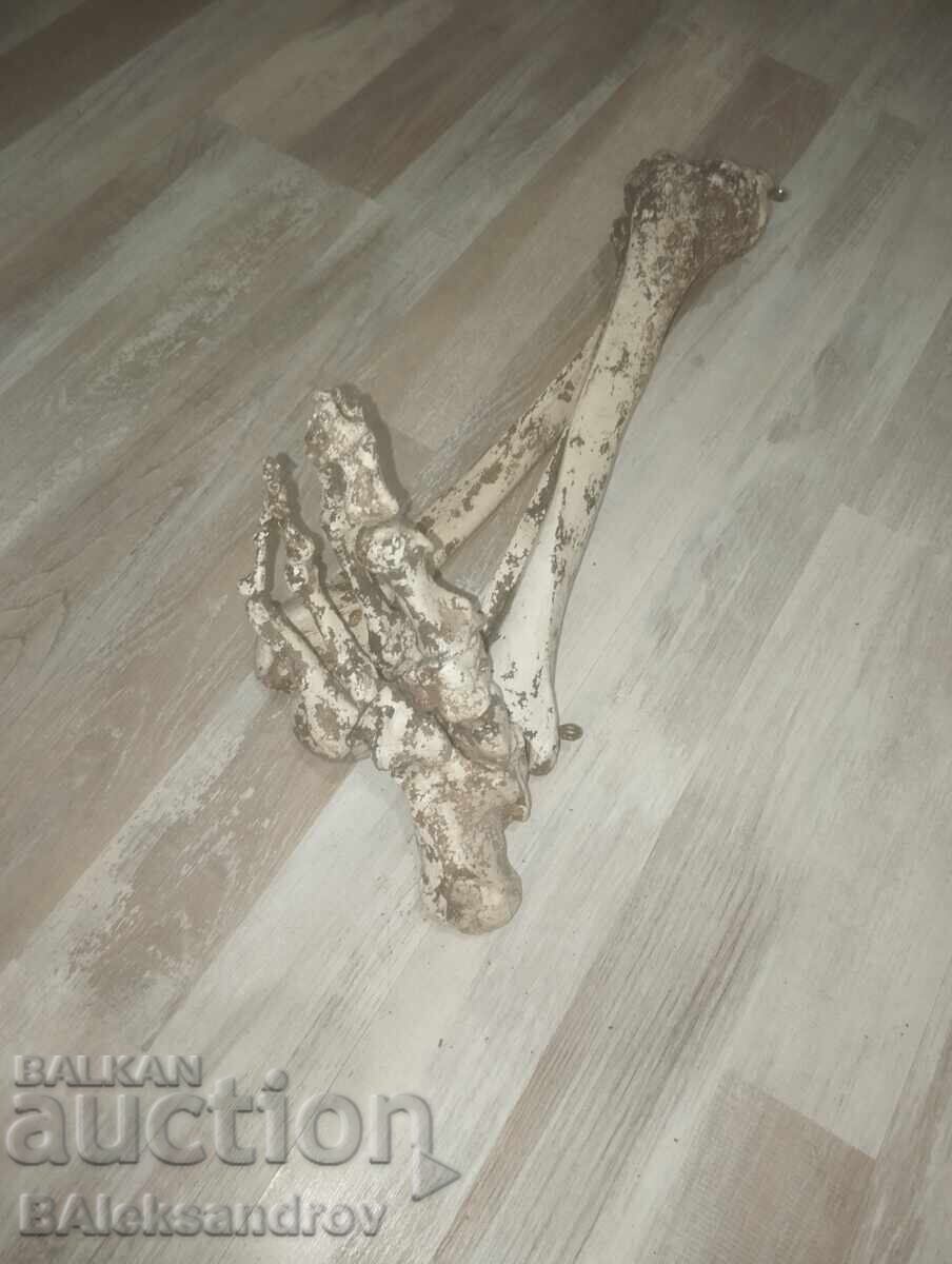 Σκηνικά ταινιών με τιμή 41.00 BGN | € 20.96