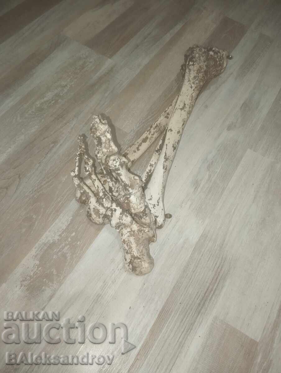 Recuzită de film cu preț € 21.00 | 41.07 BGN