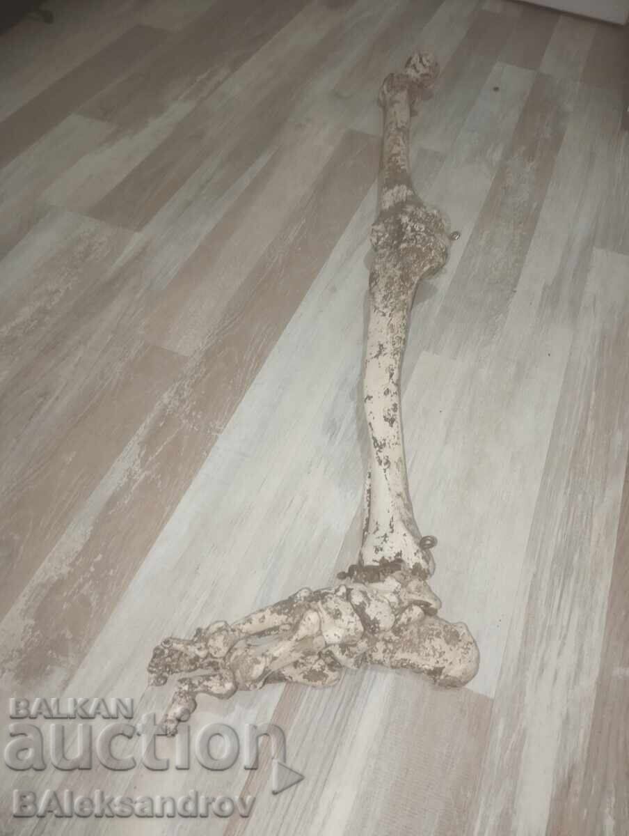 Δημοπρασία Σκηνικά ταινιών