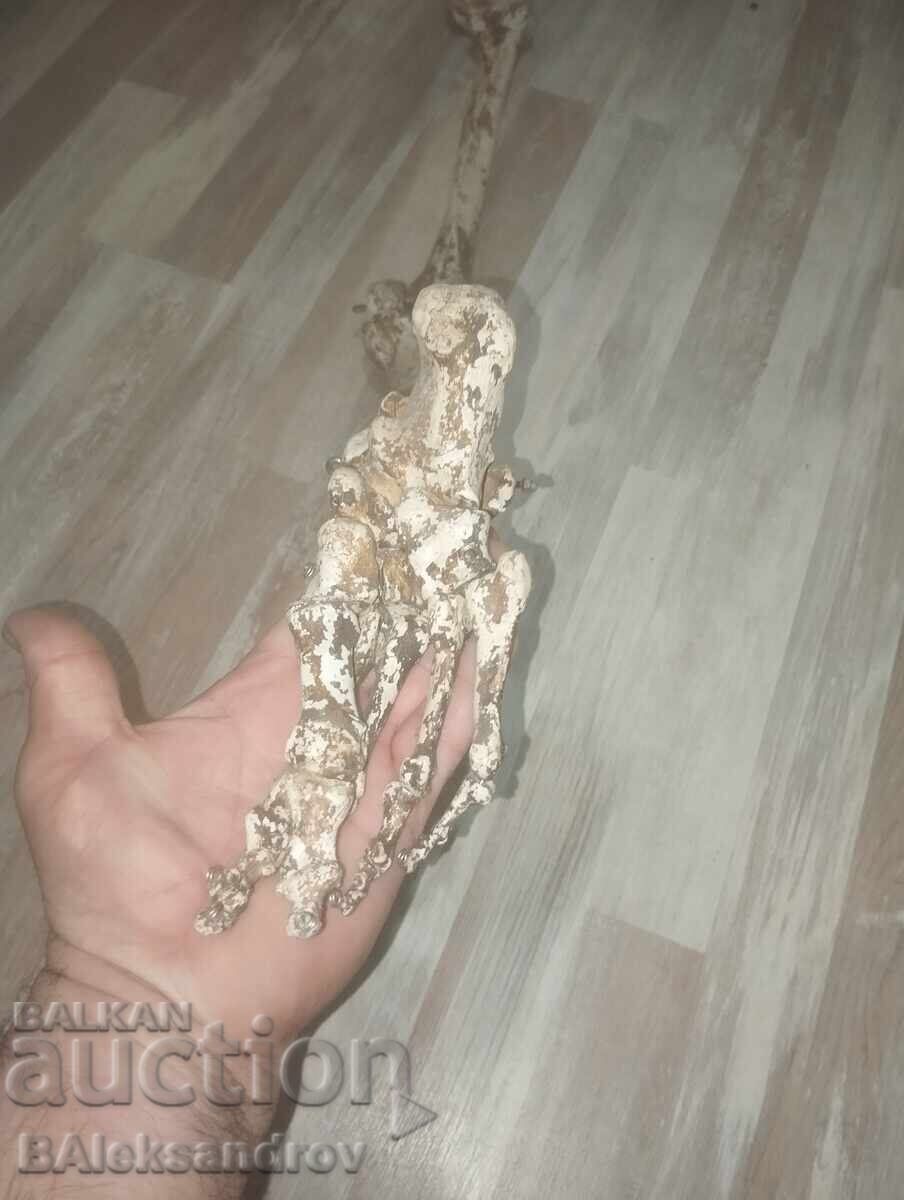 Παράδοση Σκηνικά ταινιών