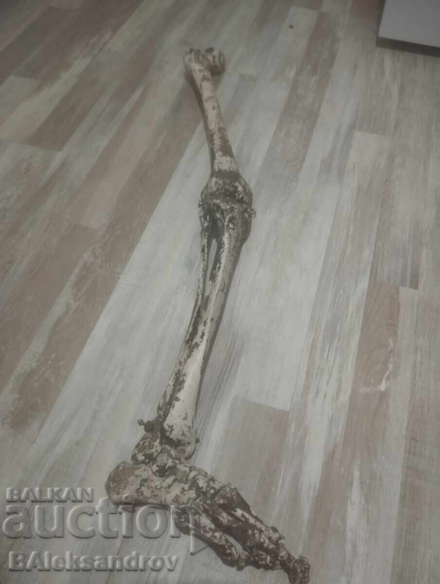 Σκηνικά ταινιών - 6