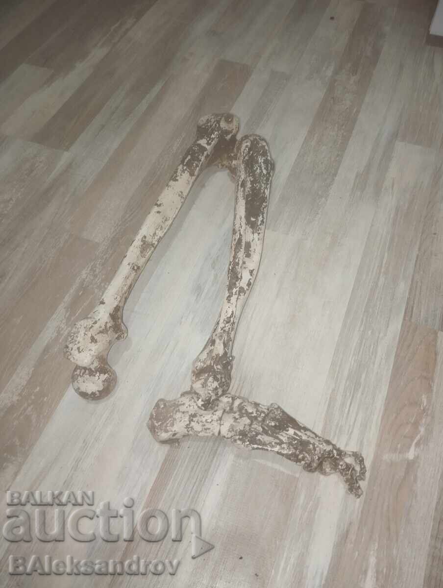 Σκηνικά ταινιών