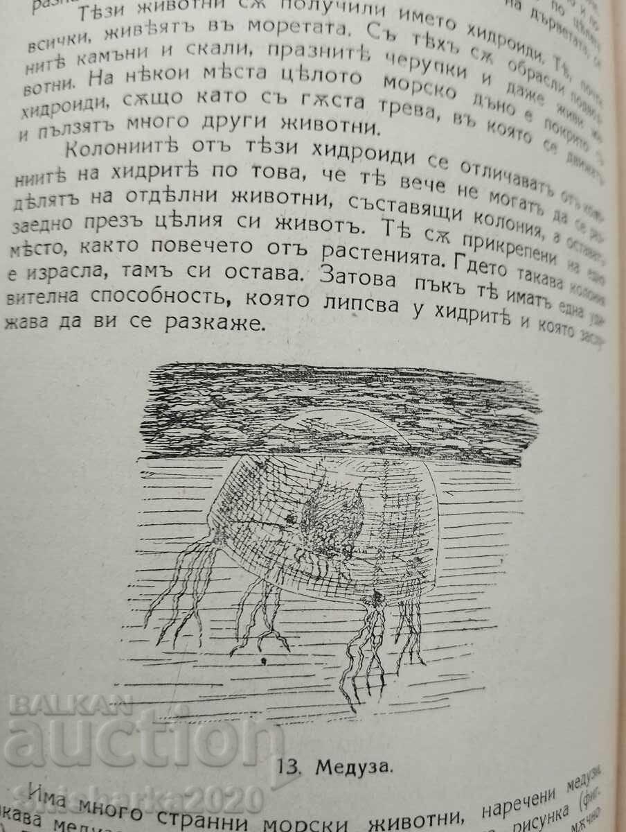 Delivery of Stories about animals Delivery of Stories about animals