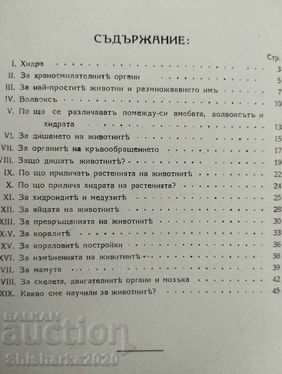 Stories about animals - 5 Stories about animals - 5