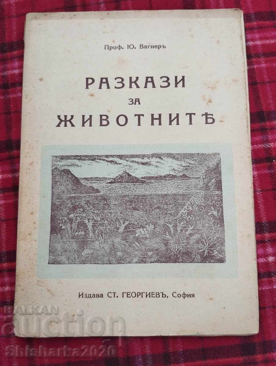 Stories about animals Stories about animals