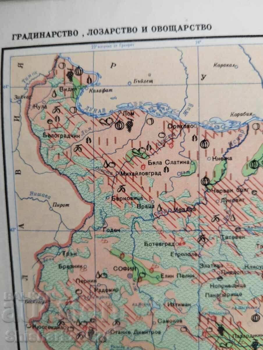 Geography Atlas of Bulgaria for Tenth Grade - 7 Geography Atlas of Bulgaria for Tenth Grade - 7