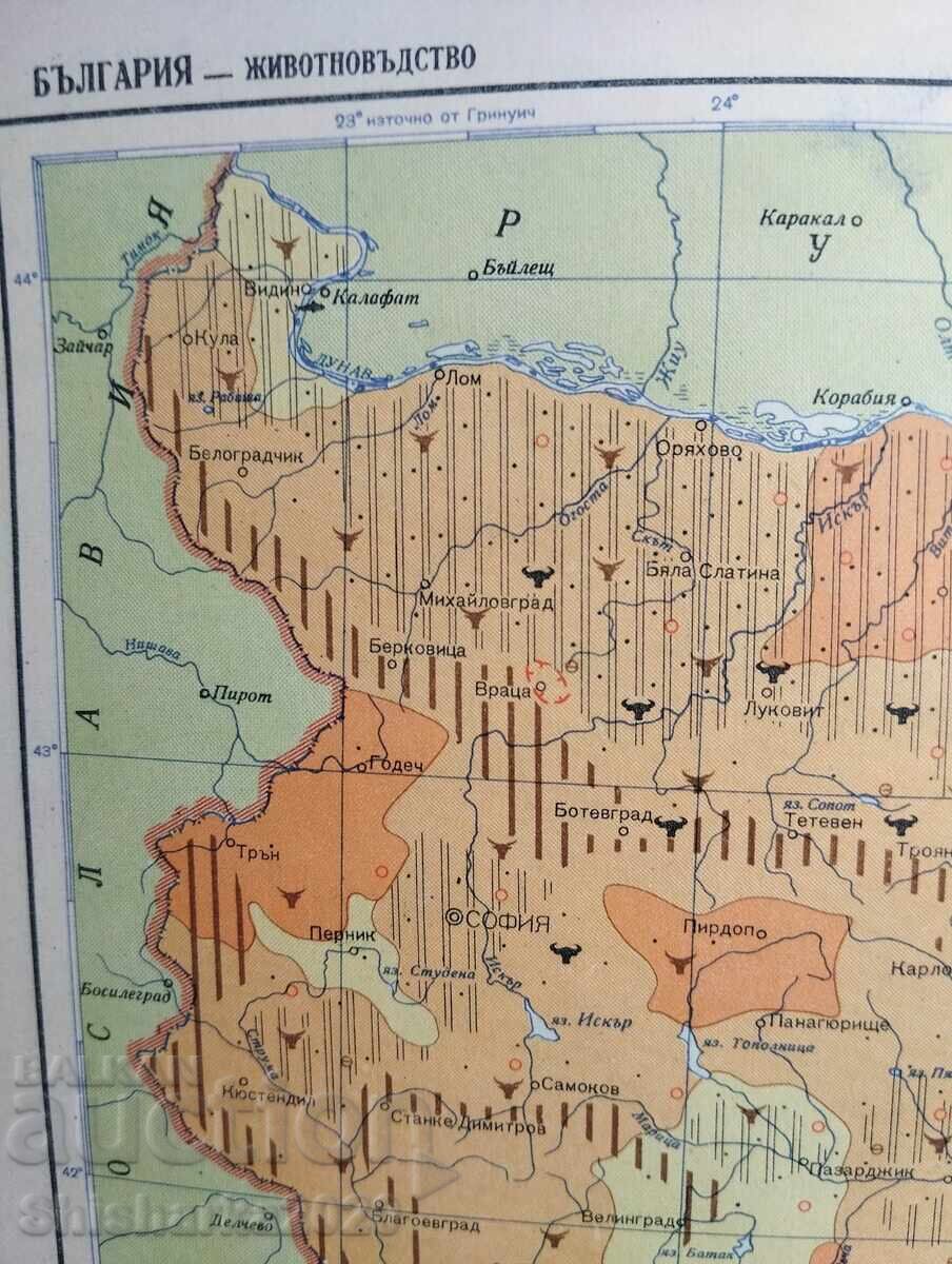 Atlas geografic pentru clasa a șaptea - 7
