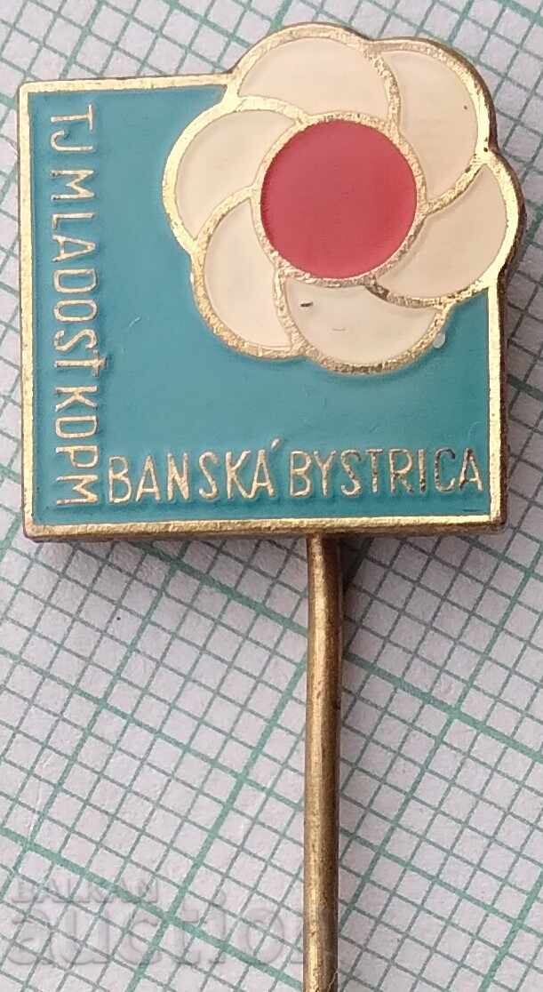 18703 Insigna - Banská Bystrica 18703 Insigna - Banská Bystrica