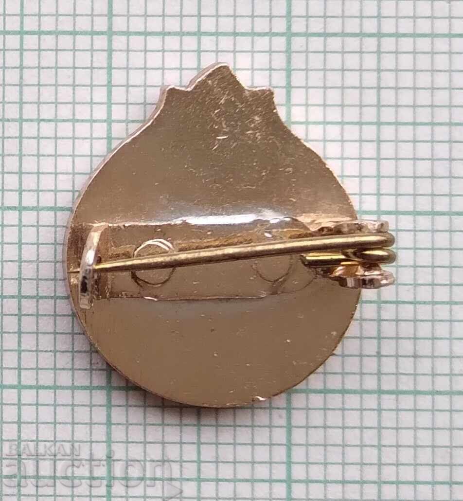 Auction 18708 Badges Auction 18708 Badges