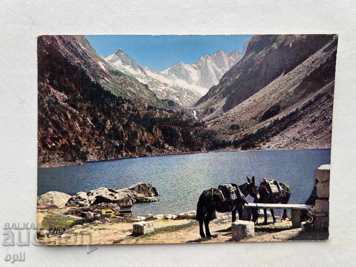 Old Postcard - France - Cauterets - Pyrenees Old Postcard - France - Cauterets - Pyrenees