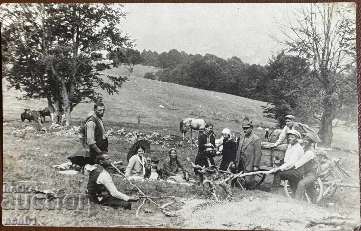 Ceaun la Poiană cu preț 14.99 BGN | € 7.66 Ceaun la Poiană cu preț 14.99 BGN | € 7.66