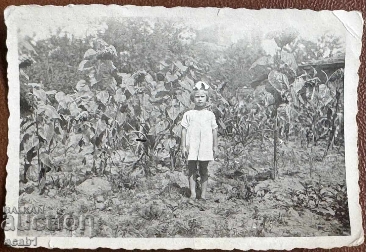 Παιδί σε Ηλιοτρόπιο