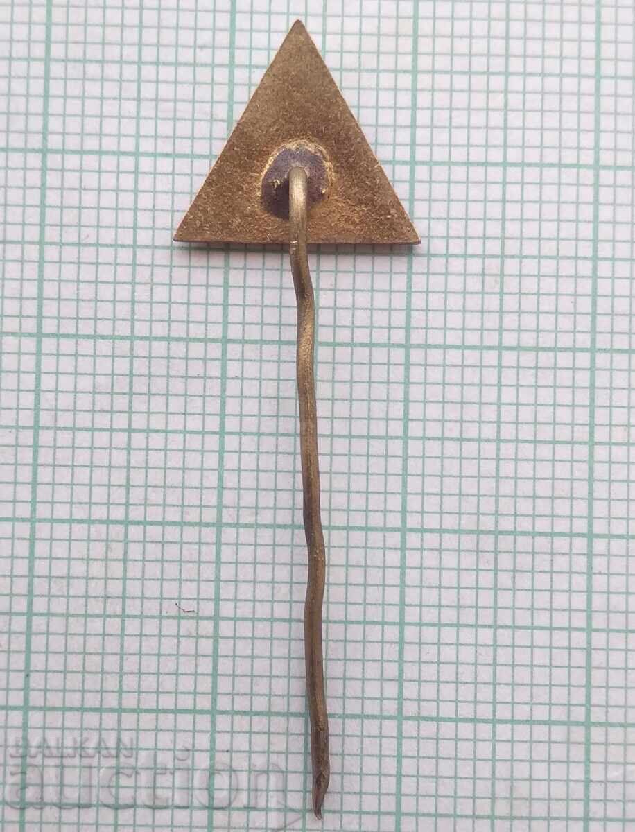 Auction 18724 Badges Auction 18724 Badges