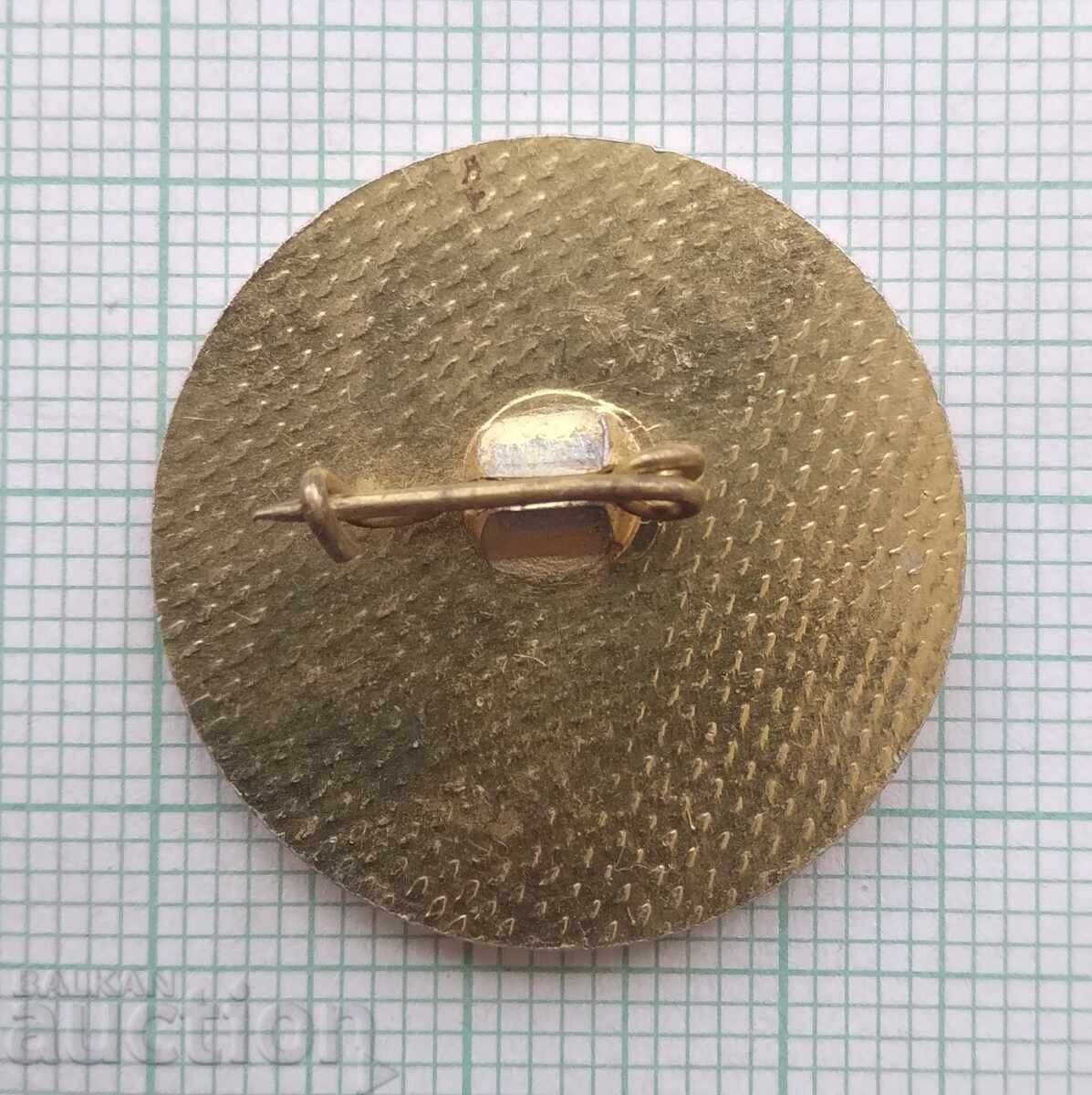 Licitație 18725 Insigna - 60 de ani de organizație de partid Batak