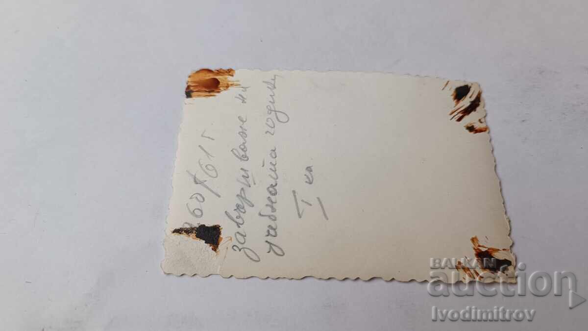 Photo of Two Girls with Certificates 1961 with price 1.65 BGN | € 0.84 Photo of Two Girls with Certificates 1961 with price 1.65 BGN | € 0.84