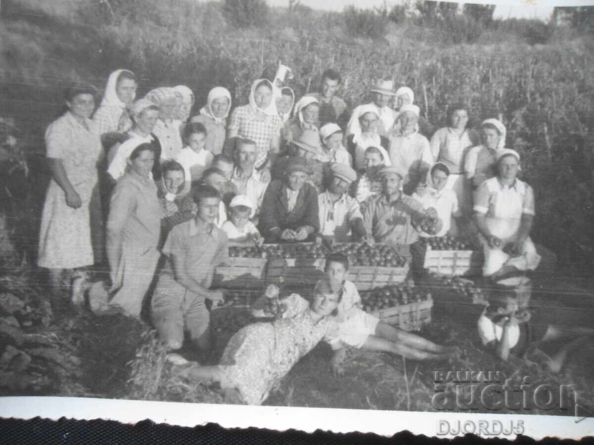 παλιά φωτογραφία παλιά φωτογραφία