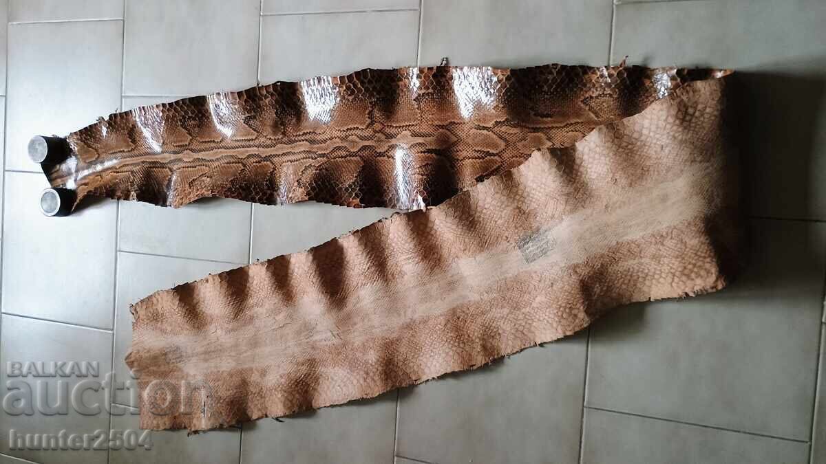 Licitație Piele de piton - 299/30cm, Africa Licitație Piele de piton - 299/30cm, Africa