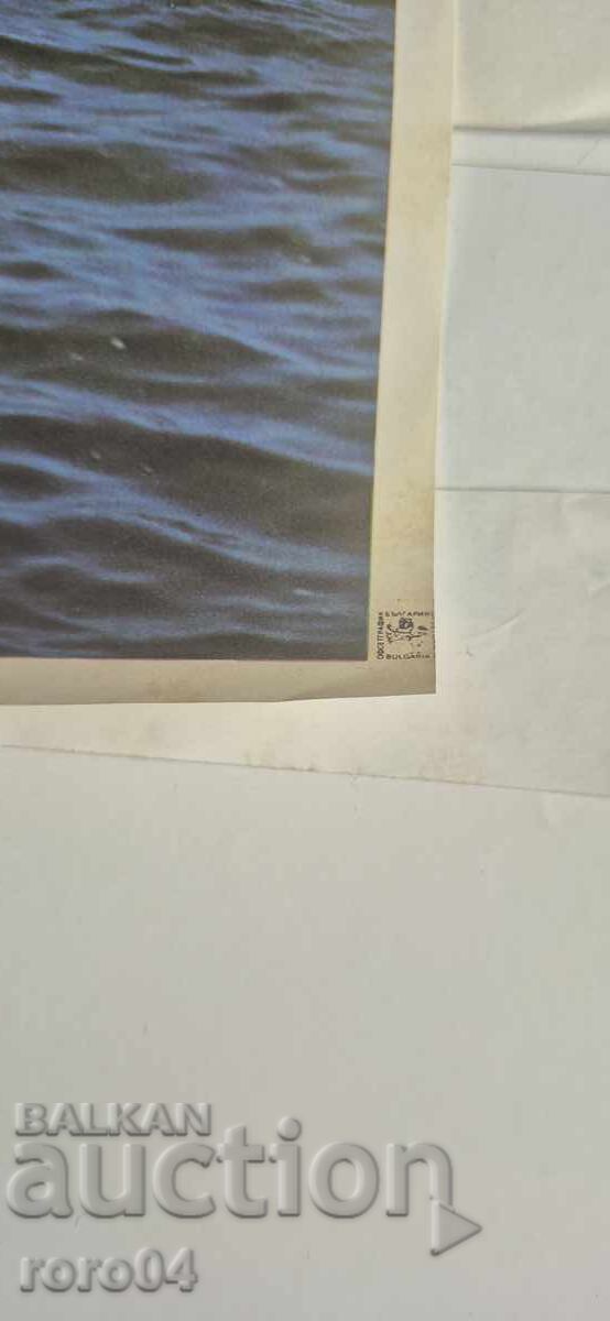 Livrarea AFIȘ - BULGARIA - GOLDEN SANDS Livrarea AFIȘ - BULGARIA - GOLDEN SANDS