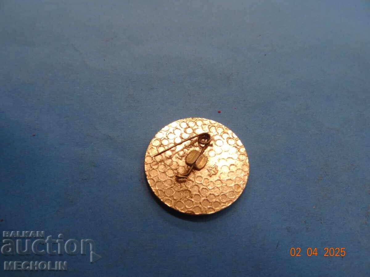 Auction COLLECTOR'S BADGE 2 Auction COLLECTOR'S BADGE 2