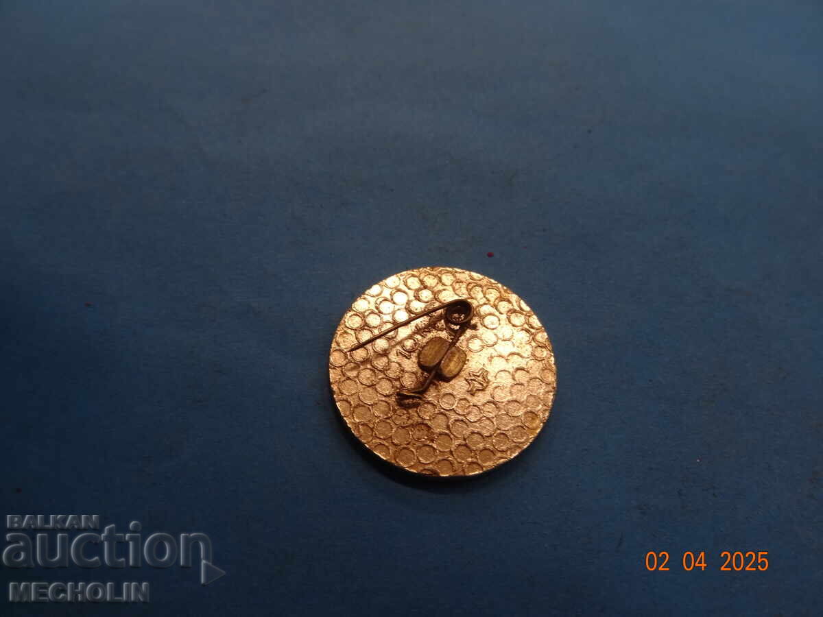 COLLECTOR'S BADGE 2 - 5 COLLECTOR'S BADGE 2 - 5