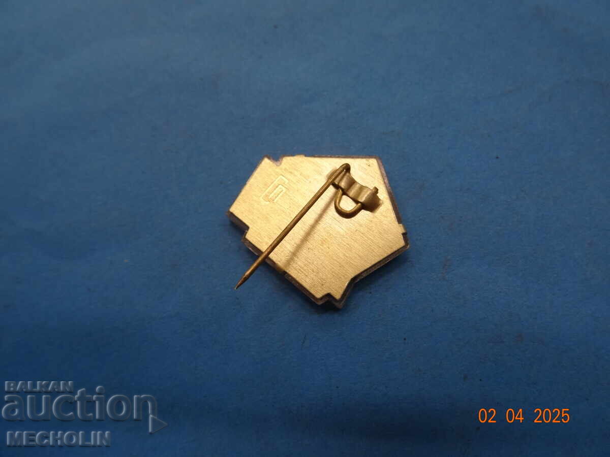 Auction Collector's Badges Wenzel Old 2D Auction Collector's Badges Wenzel Old 2D