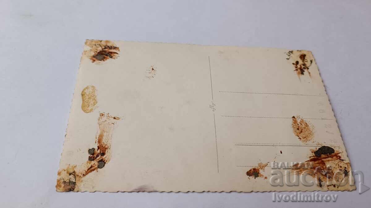 Снимка Младо момиче с цена 1.65 лв. | € 0.84 Снимка Младо момиче с цена 1.65 лв. | € 0.84