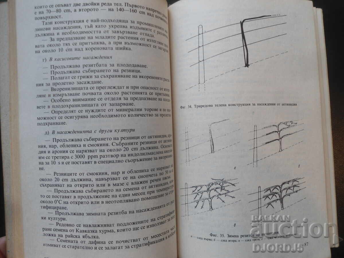 Licitație Manual pentru pomicultor Licitație Manual pentru pomicultor