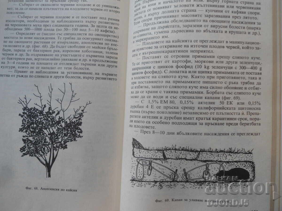 Manual pentru pomicultor - 5 Manual pentru pomicultor - 5