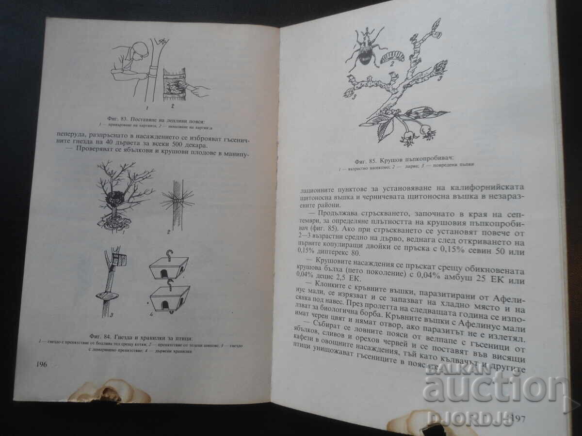 Manual pentru pomicultor - 6 Manual pentru pomicultor - 6