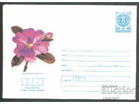 1987 P 2495 - Flowers, Rhodocactus