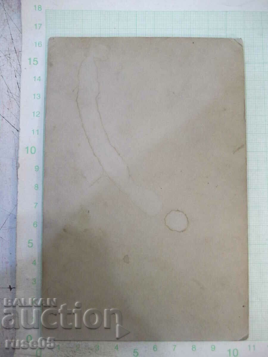 Old photo of a pensive man with a dog on a cardboard chair with price 7.00 BGN | € 3.58 Old photo of a pensive man with a dog on a cardboard chair with price 7.00 BGN | € 3.58