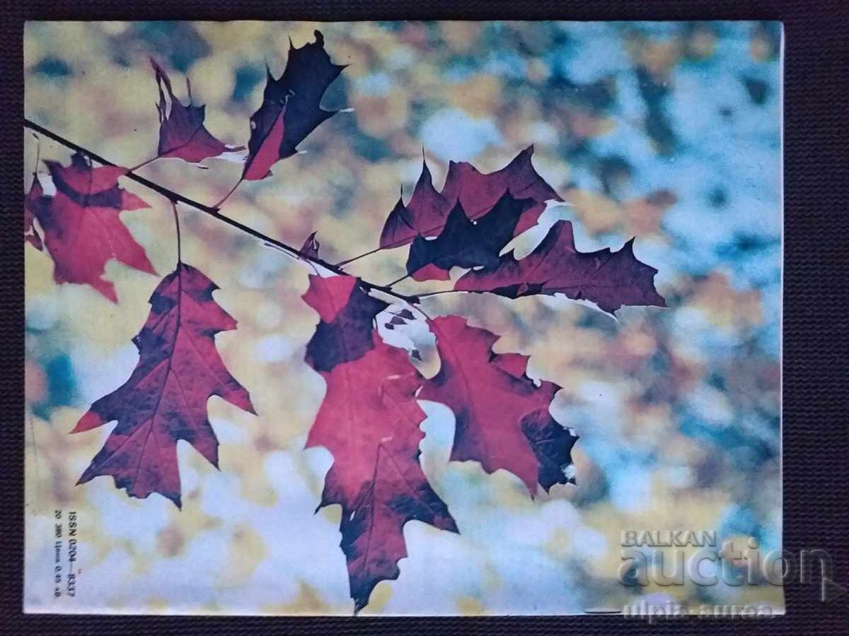 1988 г. ЖЕНАТА ДНЕС с цена 1.50 лв. | € 0.77