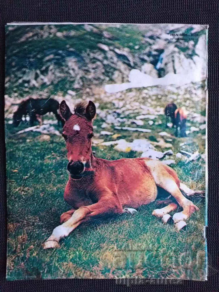 1988 WOMAN TODAY with price 1.00 BGN | € 0.51