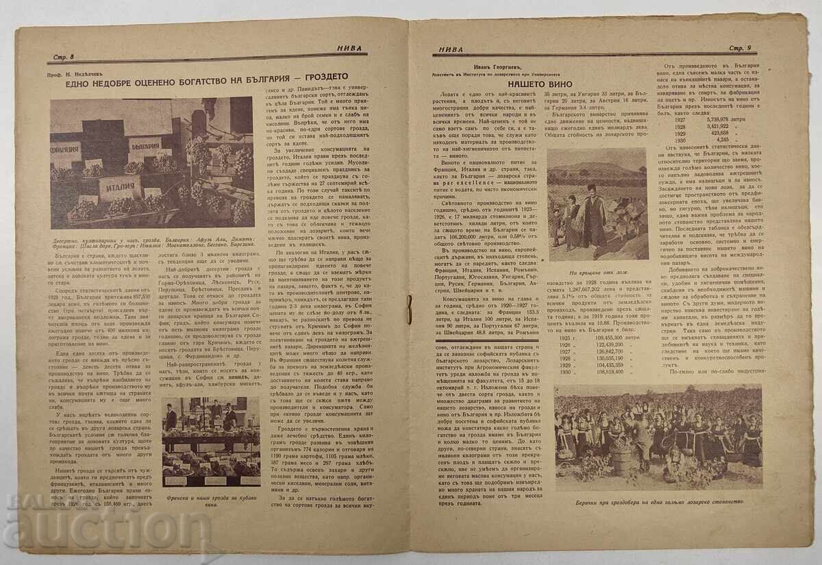 Delivery of 1931 NIVA Magazine Kingdom of Bulgaria Newspaper Carries Grapes