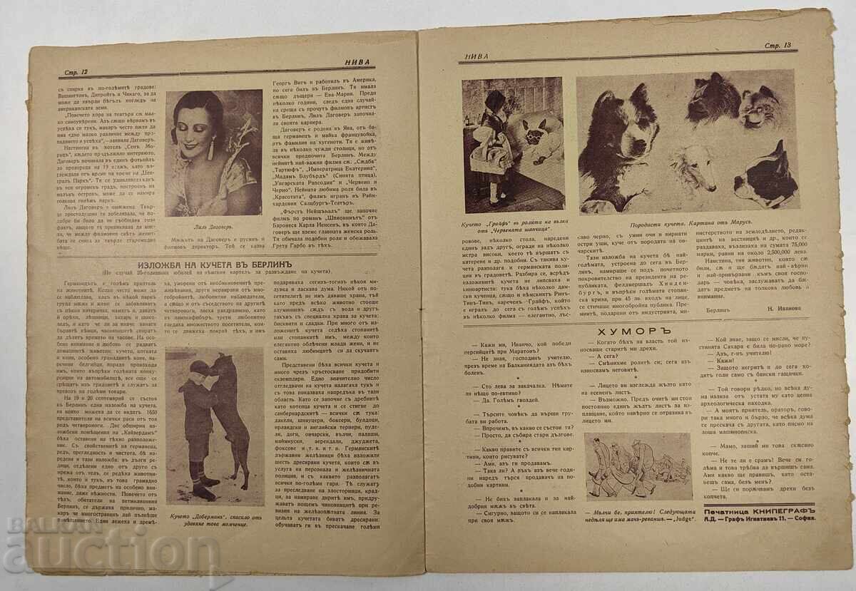 1931 NIVA Magazine Kingdom of Bulgaria Newspaper Carries Grapes - 5