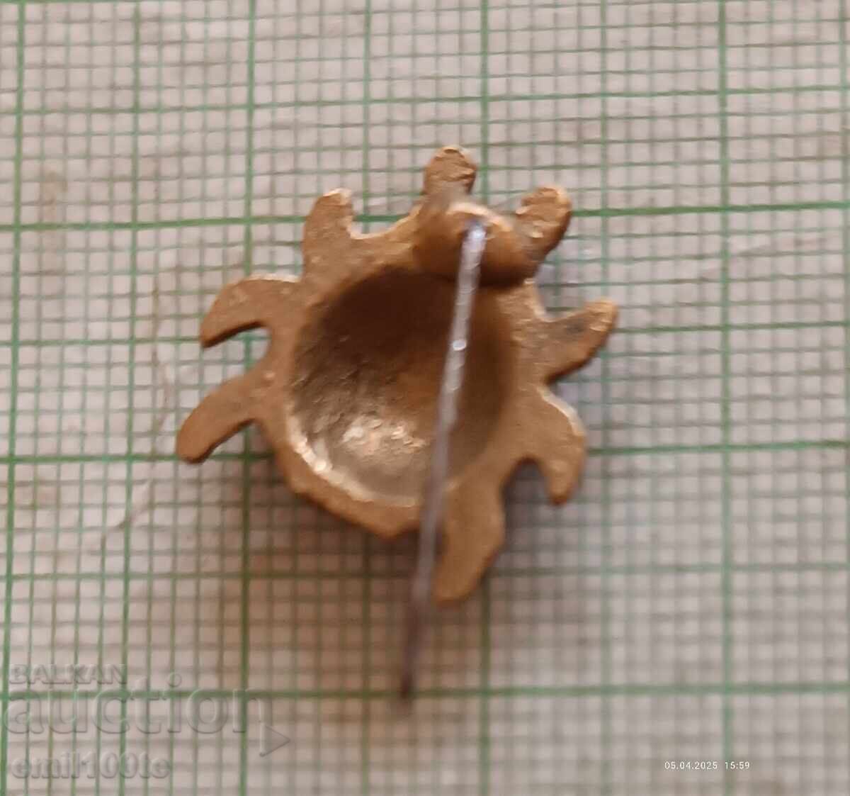 Livrarea Vechi insignă Călinica Livrarea Vechi insignă Călinica