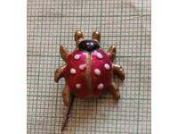 Vechi insignă Călinica