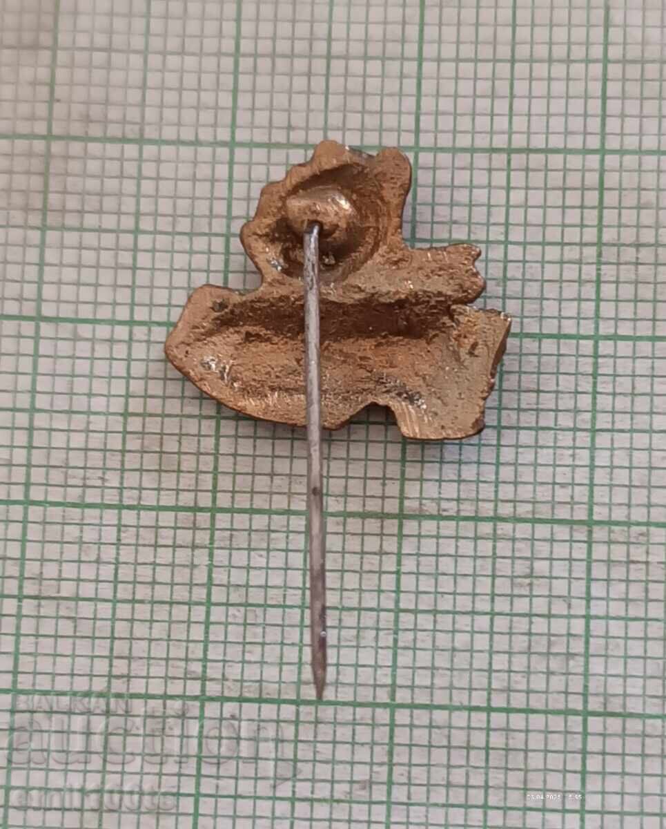 Vechi insignă Pantof cu trandafir - 5 Vechi insignă Pantof cu trandafir - 5