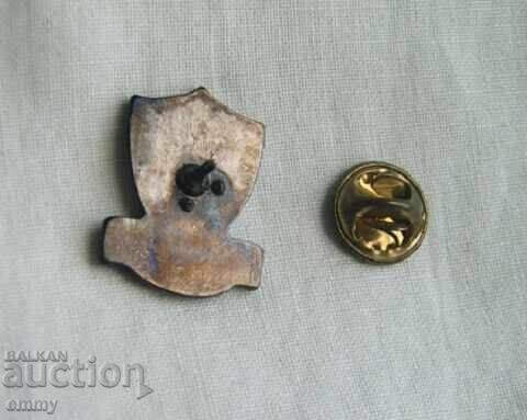 Emblemă fotbal - A.C. Arezzo 1993 / F.C. Arezzo, Italia. Email cu preț 7.00 BGN | € 3.58