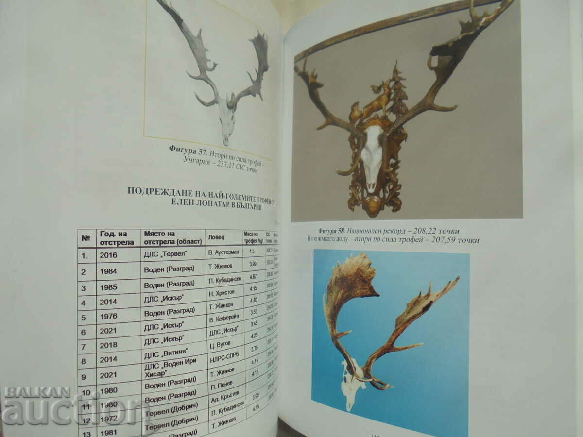 Auction Hunting trophies and their evaluation - Nino Ninov 2024 Auction Hunting trophies and their evaluation - Nino Ninov 2024