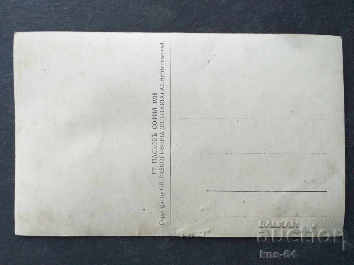 şiretlic cu preț 4.50 BGN | € 2.30 şiretlic cu preț 4.50 BGN | € 2.30