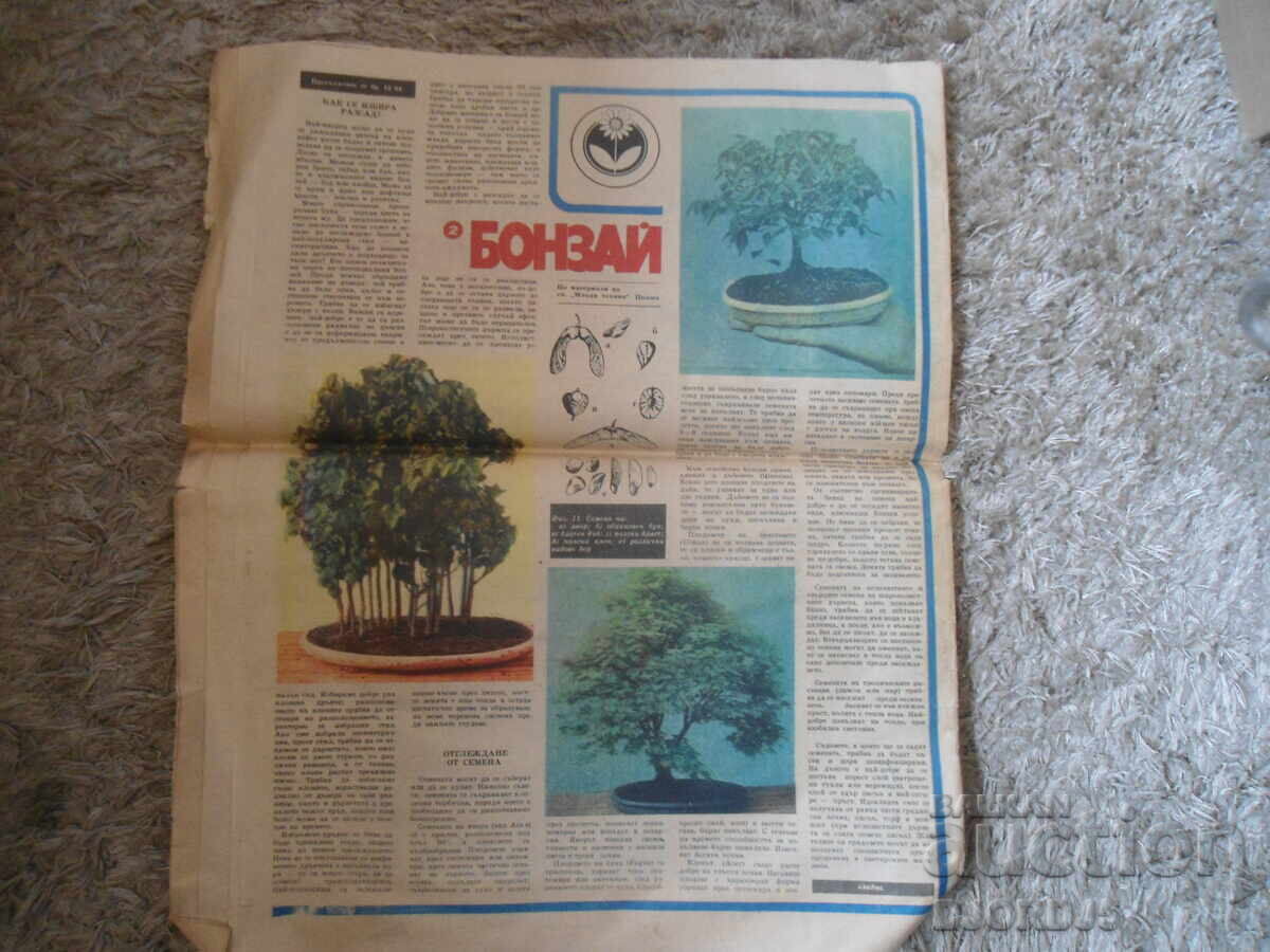 Εφημερίδα "Φτιάξτο Μόνος σου", Τεύχος 11 από 1984 με τιμή 2.00 BGN | € 1.02