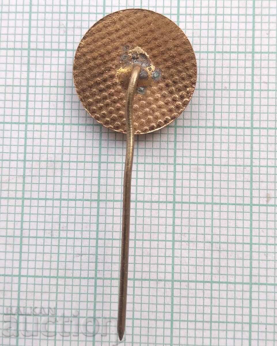 Аукцион 18790 Значка - ФК Локомотив София - бронз емайл