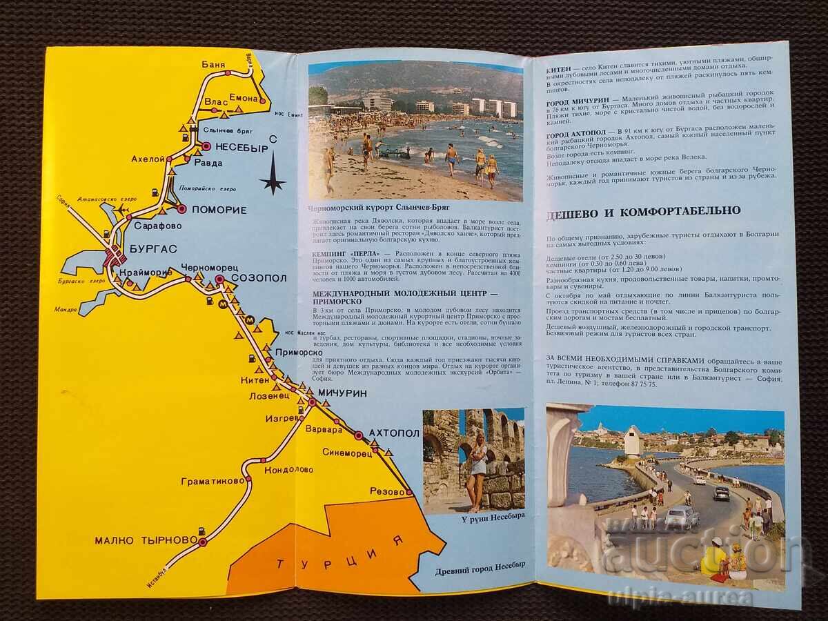 Auction  Social brochure