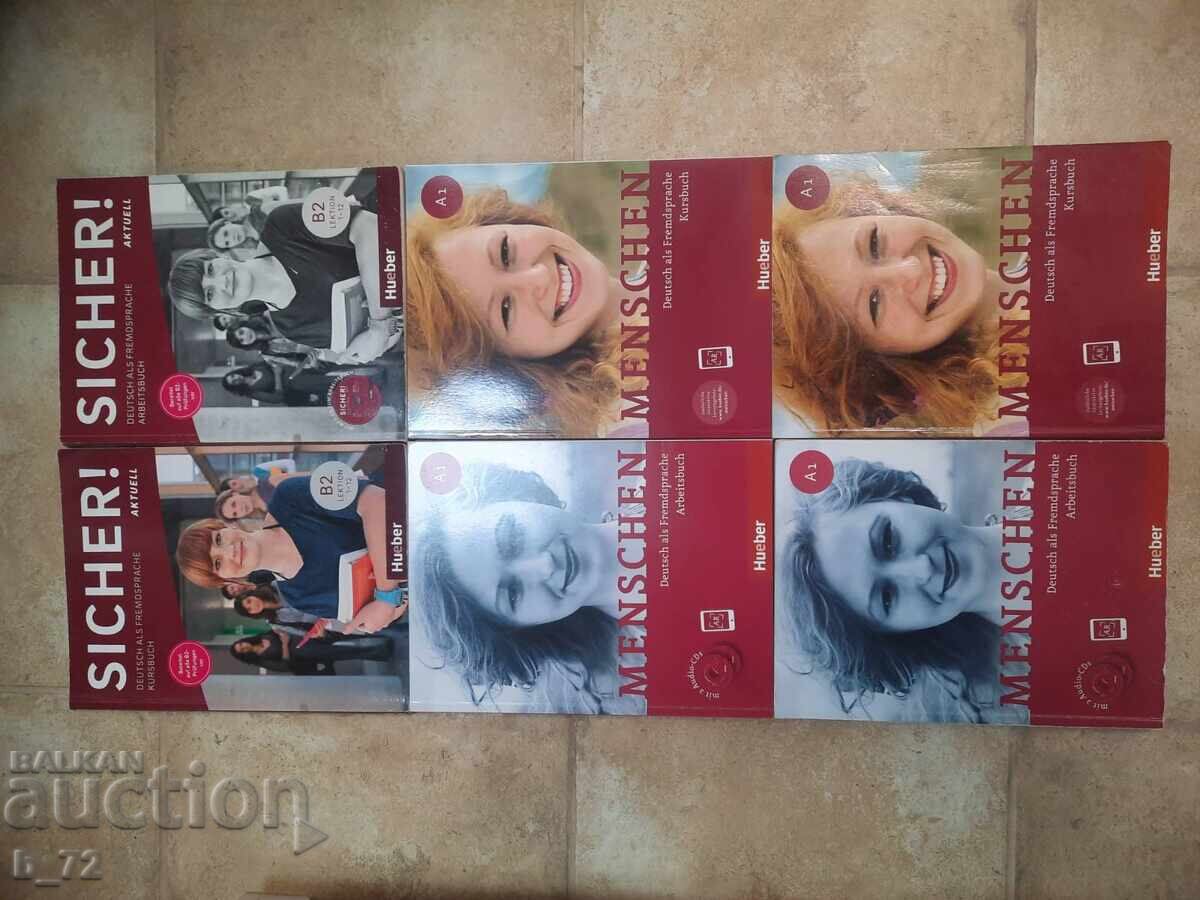 Licitație Manuale de limba germană