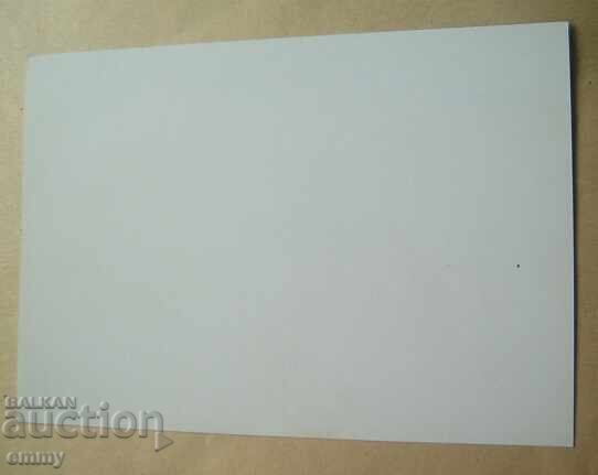 Carte poștală 1999 - Mesaje poștale în Bulgaria cu preț 1.10 BGN | € 0.56 Carte poștală 1999 - Mesaje poștale în Bulgaria cu preț 1.10 BGN | € 0.56