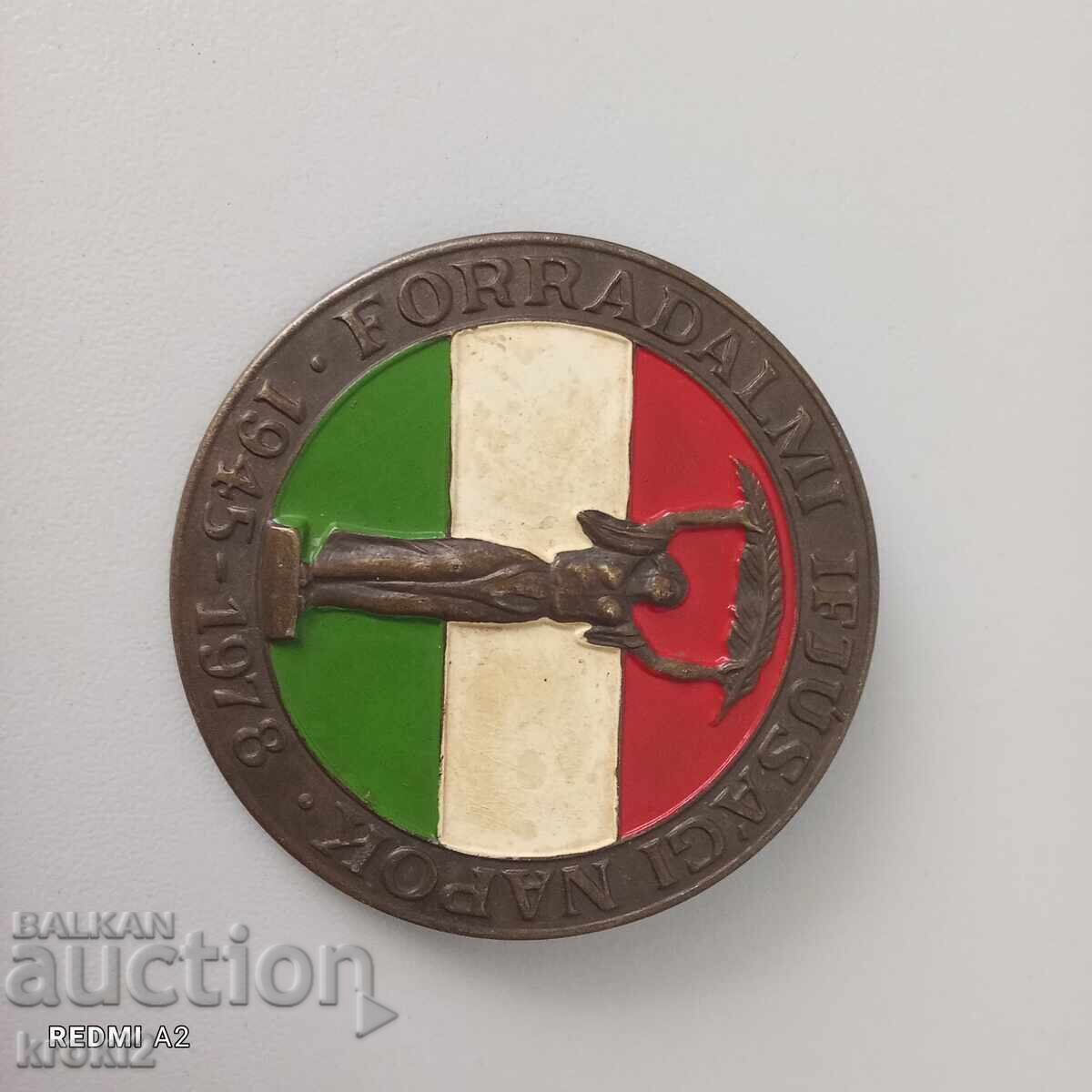 Veche insignă de bronz maghiară - 6