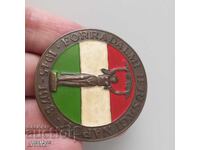 Veche insignă de bronz maghiară